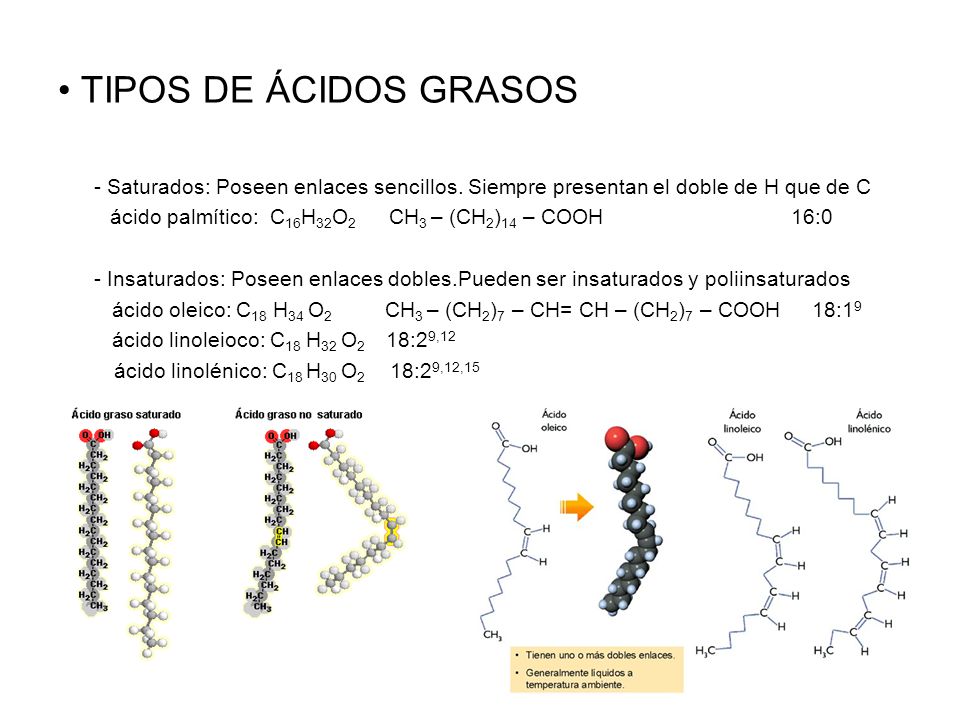 TIPOS DE ÁCIDOS GRASOS - Saturados: Poseen enlaces sencillos. Siempre presentan el doble de H que de C.