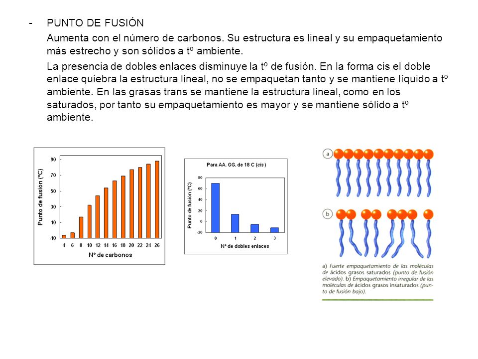 PUNTO DE FUSIÓN Aumenta con el número de carbonos. Su estructura es lineal y su empaquetamiento más estrecho y son sólidos a tº ambiente.