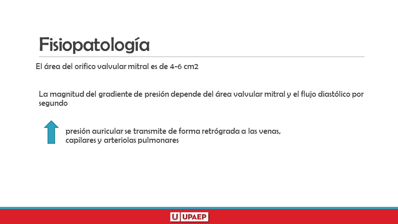 Fisiopatología El área del orifico valvular mitral es de 4-6 cm2