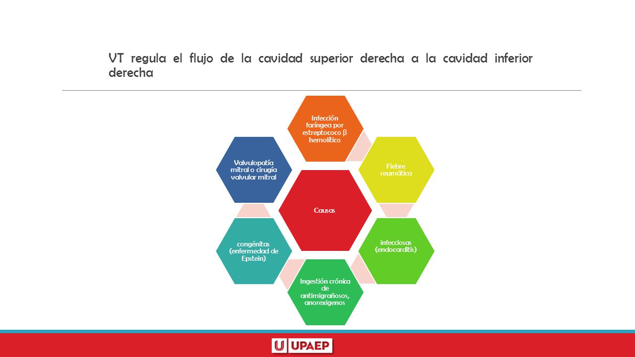 VT regula el flujo de la cavidad superior derecha a la cavidad inferior derecha
