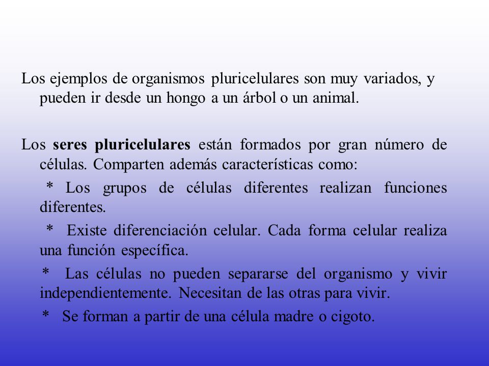 Los ejemplos de organismos pluricelulares son muy variados, y pueden ir desde un hongo a un árbol o un animal.