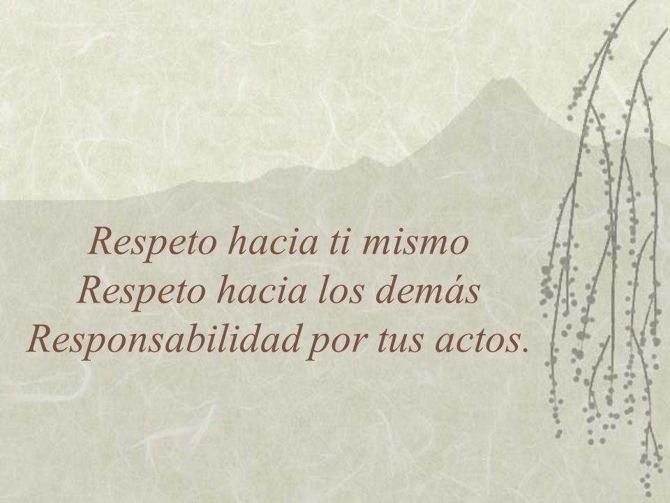 Respeto hacia ti mismo Respeto hacia los demás Responsabilidad por tus actos.