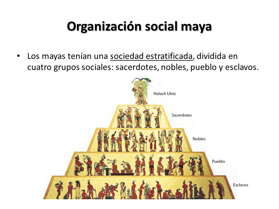 Organización social maya