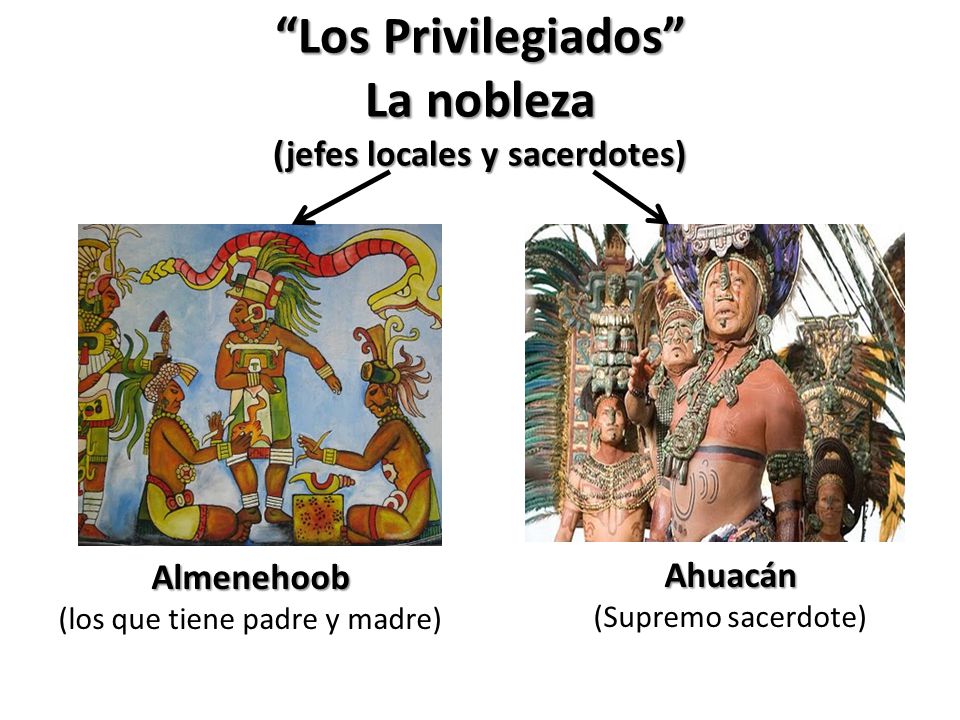 Los Privilegiados La nobleza (jefes locales y sacerdotes)