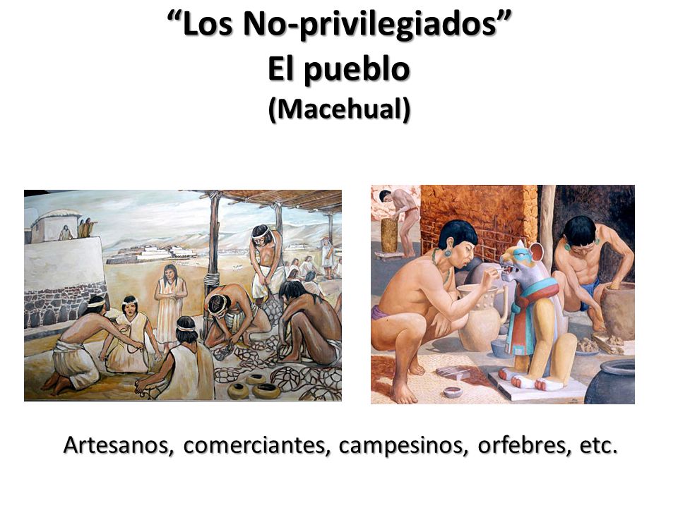 Los No-privilegiados El pueblo (Macehual)