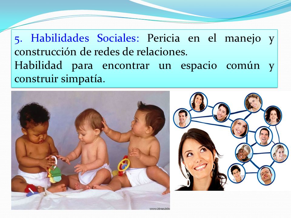 5. Habilidades Sociales: Pericia en el manejo y construcción de redes de relaciones.