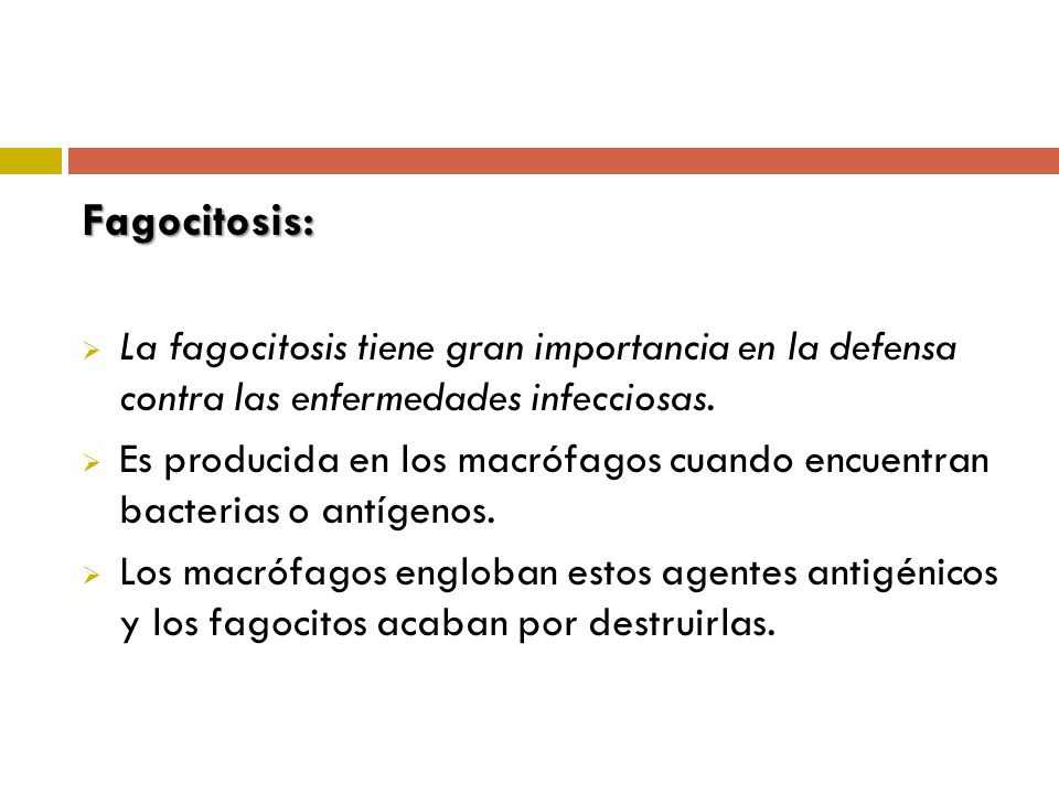 Fagocitosis: La fagocitosis tiene gran importancia en la defensa contra las enfermedades infecciosas.
