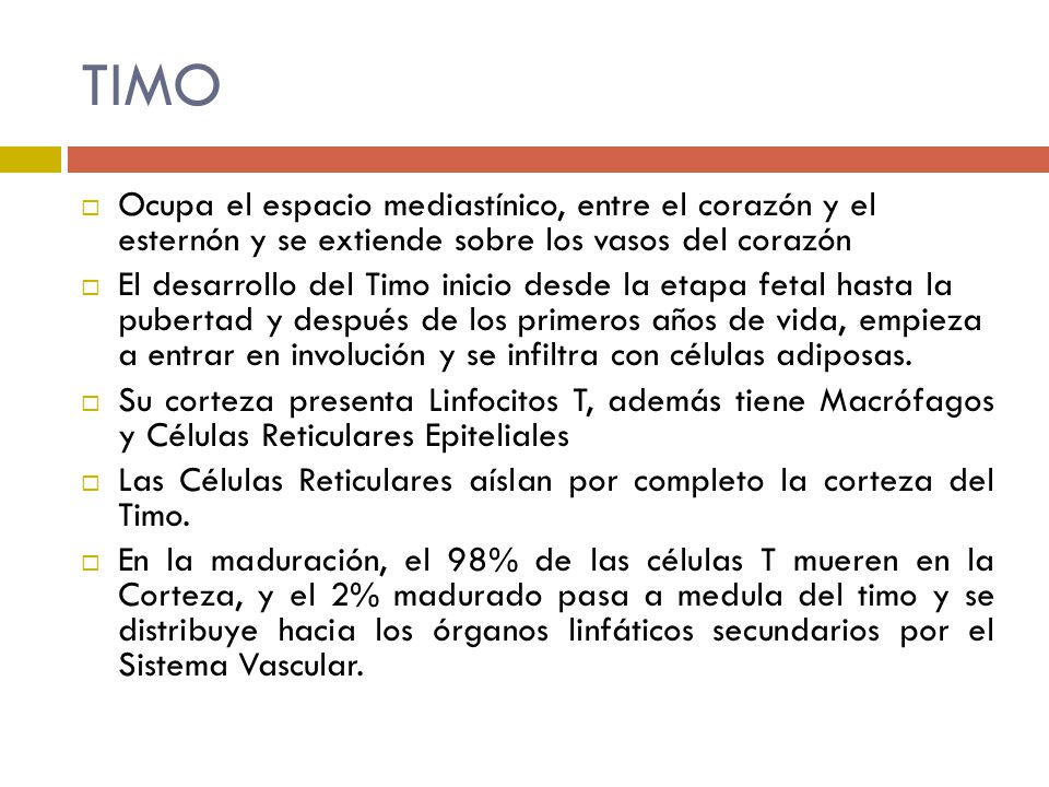 TIMO Ocupa el espacio mediastínico, entre el corazón y el esternón y se extiende sobre los vasos del corazón.
