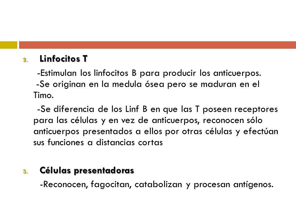 Linfocitos T -Estimulan los linfocitos B para producir los anticuerpos. -Se originan en la medula ósea pero se maduran en el Timo.