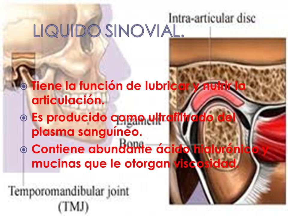 LIQUIDO SINOVIAL. Tiene la función de lubricar y nutrir la articulación. Es producido como ultrafiltrado del plasma sanguíneo.