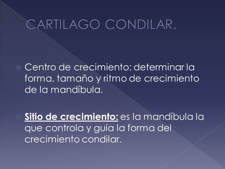 CARTILAGO CONDILAR. Centro de crecimiento: determinar la forma, tamaño y ritmo de crecimiento de la mandíbula.