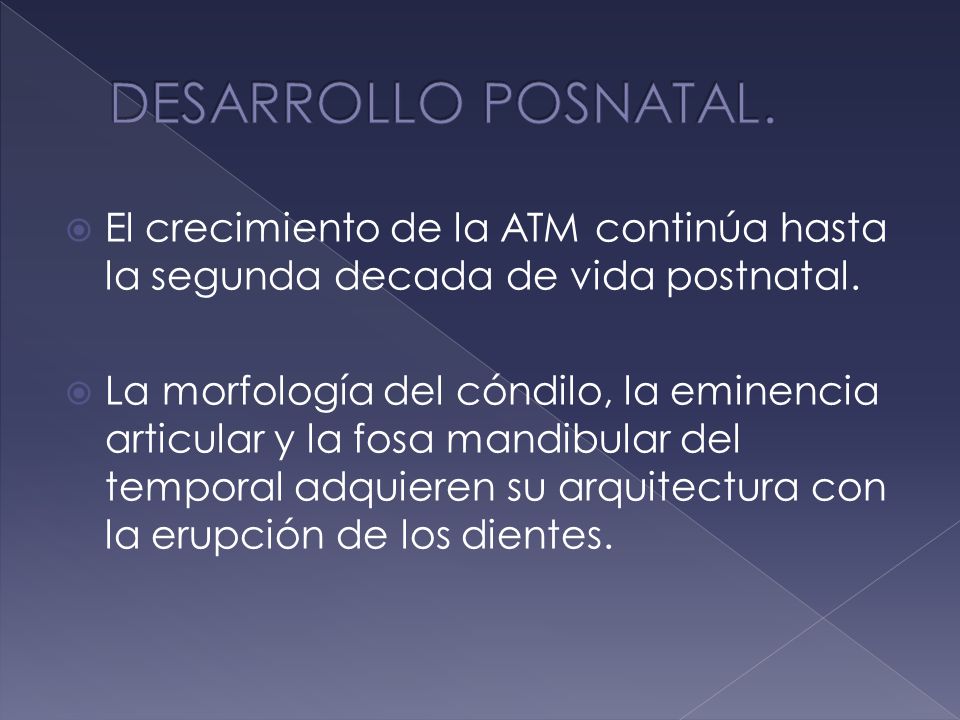 DESARROLLO POSNATAL. El crecimiento de la ATM continúa hasta la segunda decada de vida postnatal.