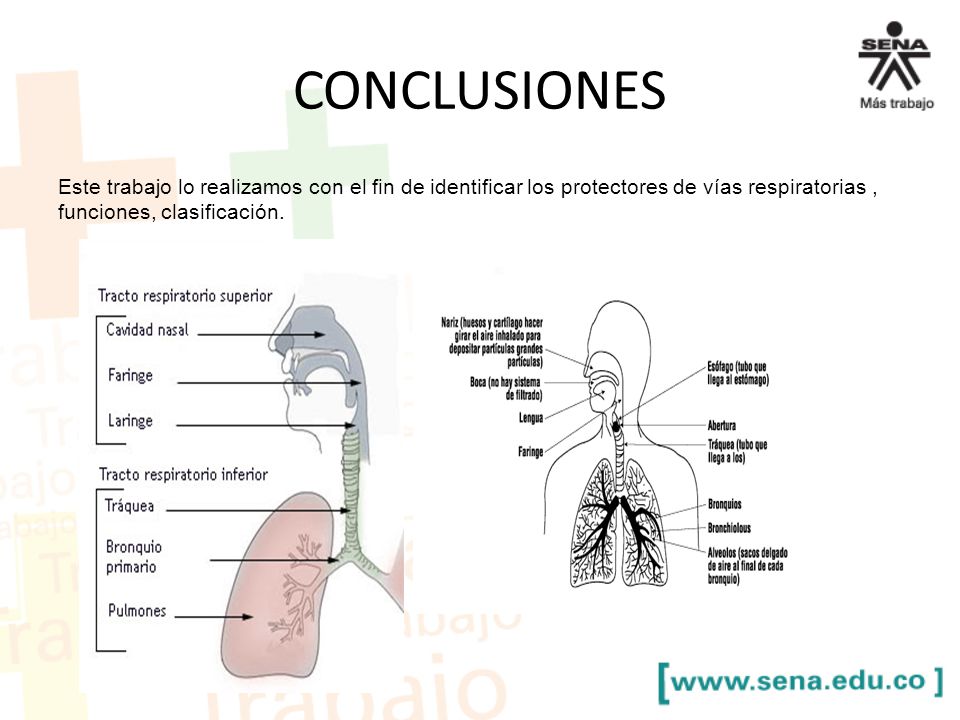 CONCLUSIONES Este trabajo lo realizamos con el fin de identificar los protectores de vías respiratorias , funciones, clasificación.
