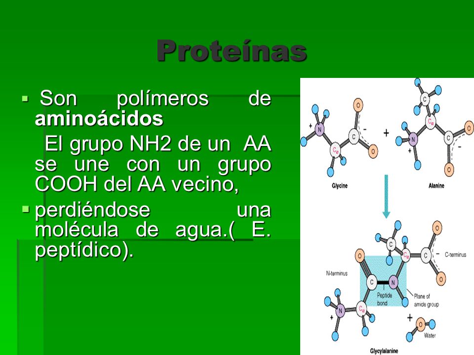 Proteínas Son polímeros de aminoácidos. El grupo NH2 de un AA se une con un grupo COOH del AA vecino,