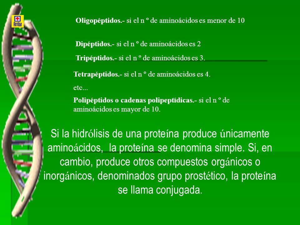 Oligopéptidos.- si el n º de aminoácidos es menor de 10