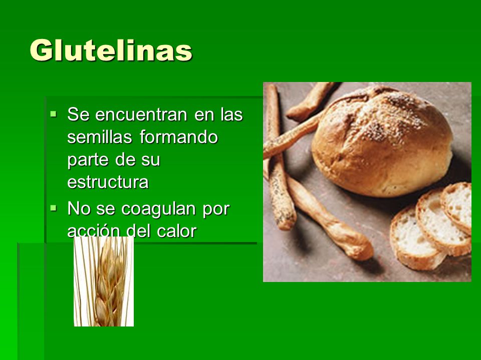 Glutelinas Se encuentran en las semillas formando parte de su estructura.
