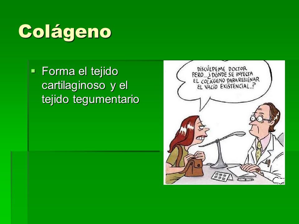 Colágeno Forma el tejido cartilaginoso y el tejido tegumentario