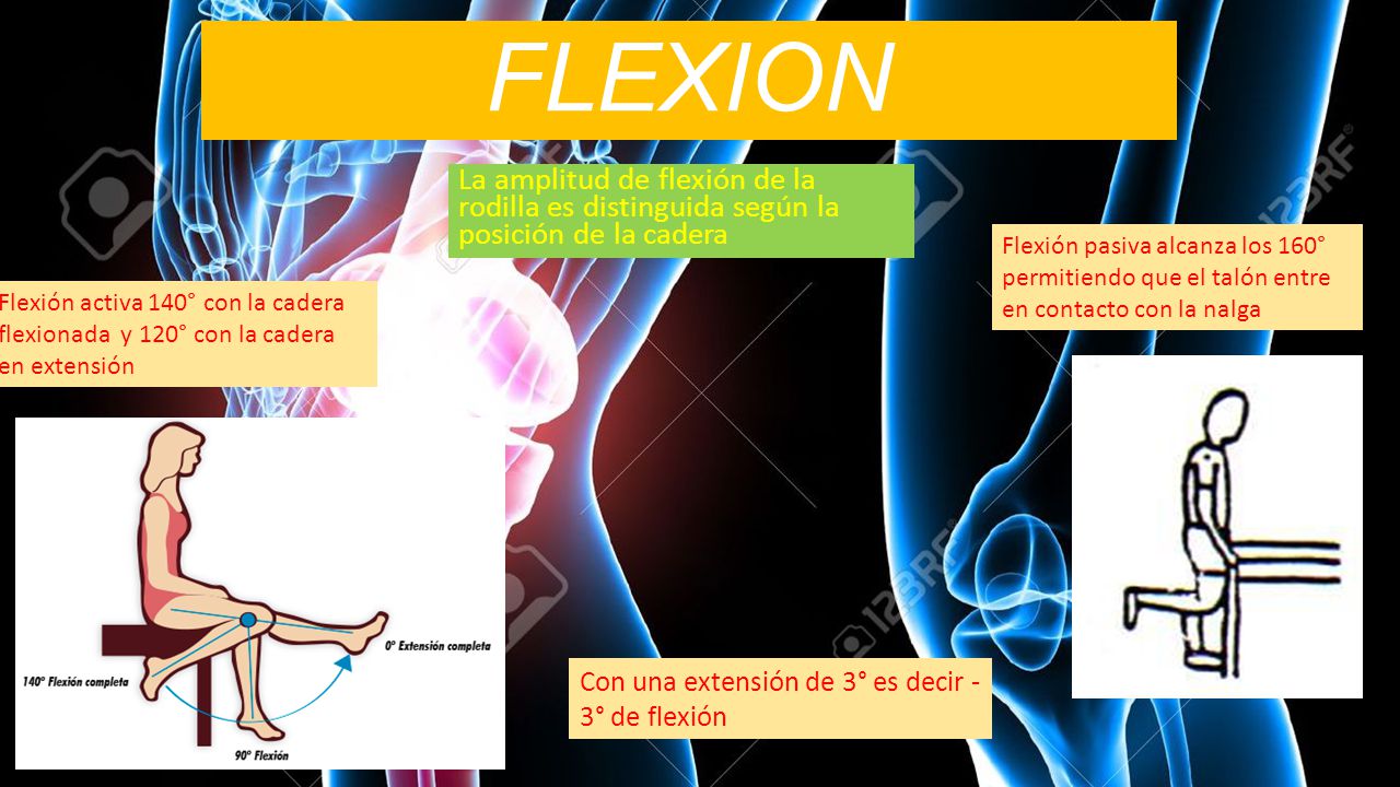 FLEXION La amplitud de flexión de la rodilla es distinguida según la posición de la cadera.