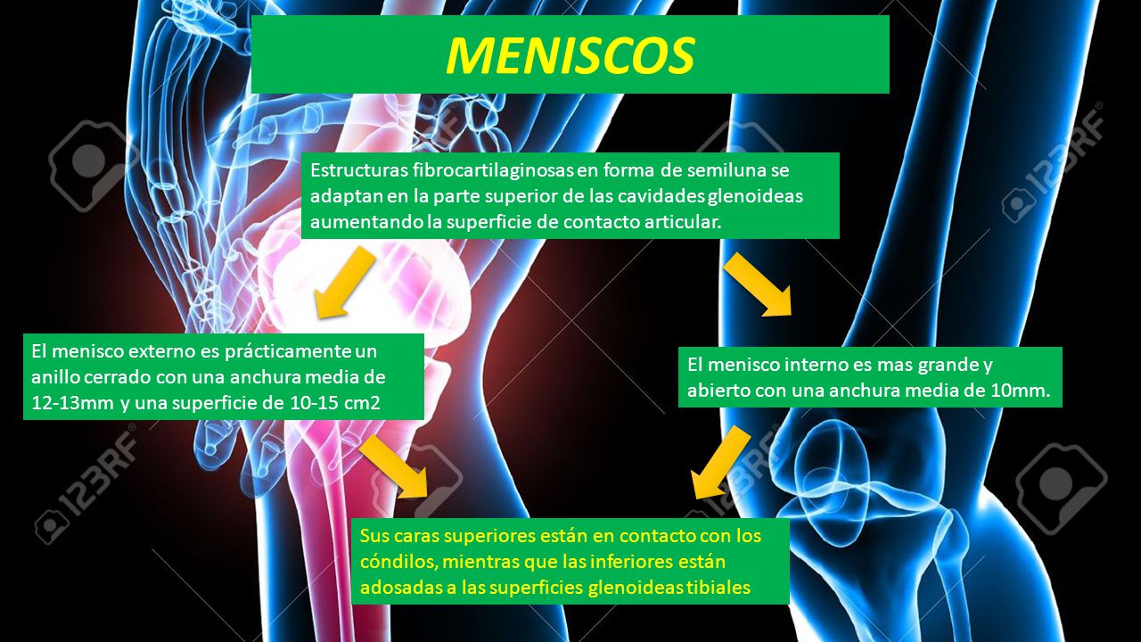 MENISCOS