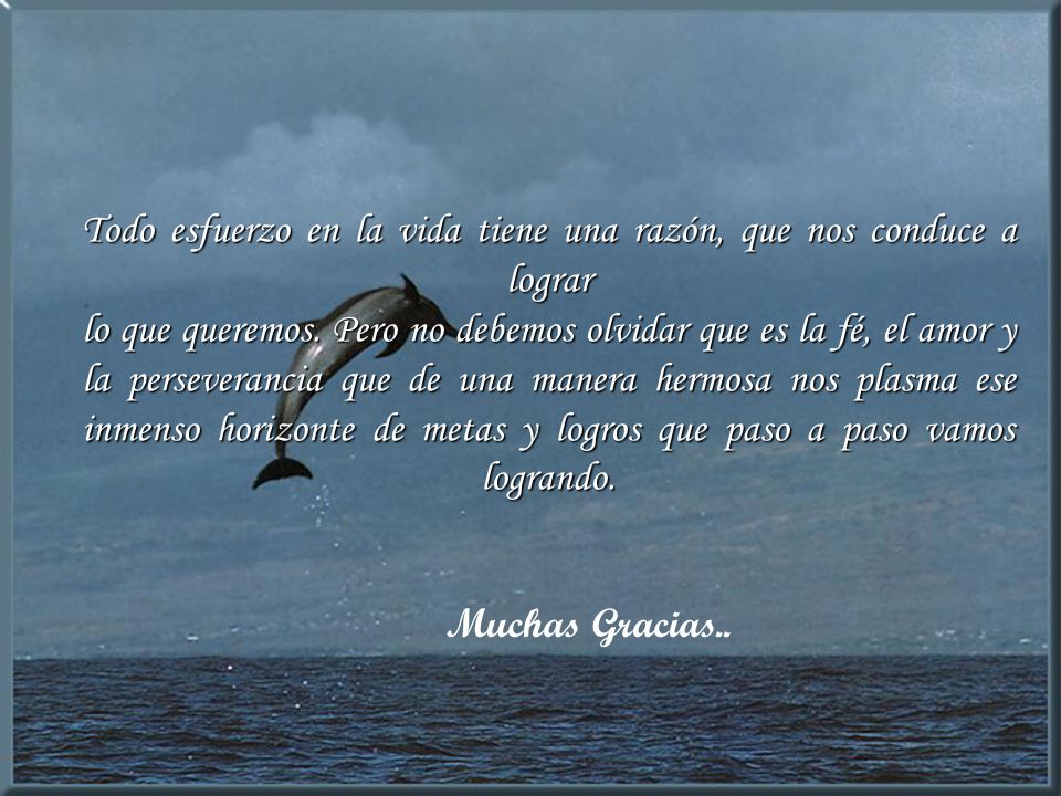 Todo esfuerzo en la vida tiene una razón, que nos conduce a lograr lo que queremos. Pero no debemos olvidar que es la fé, el amor y la perseverancia que de una manera hermosa nos plasma ese inmenso horizonte de metas y logros que paso a paso vamos logrando.