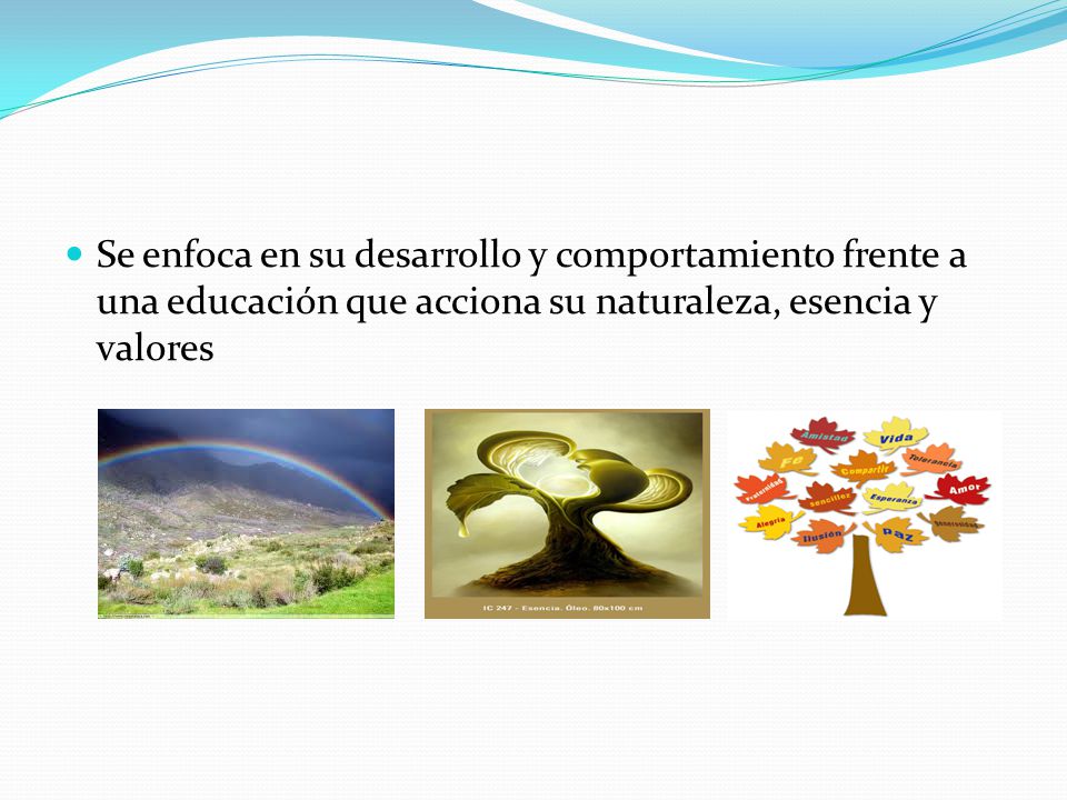 Se enfoca en su desarrollo y comportamiento frente a una educación que acciona su naturaleza, esencia y valores