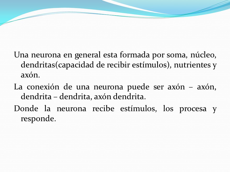 Una neurona en general esta formada por soma, núcleo, dendritas(capacidad de recibir estímulos), nutrientes y axón.