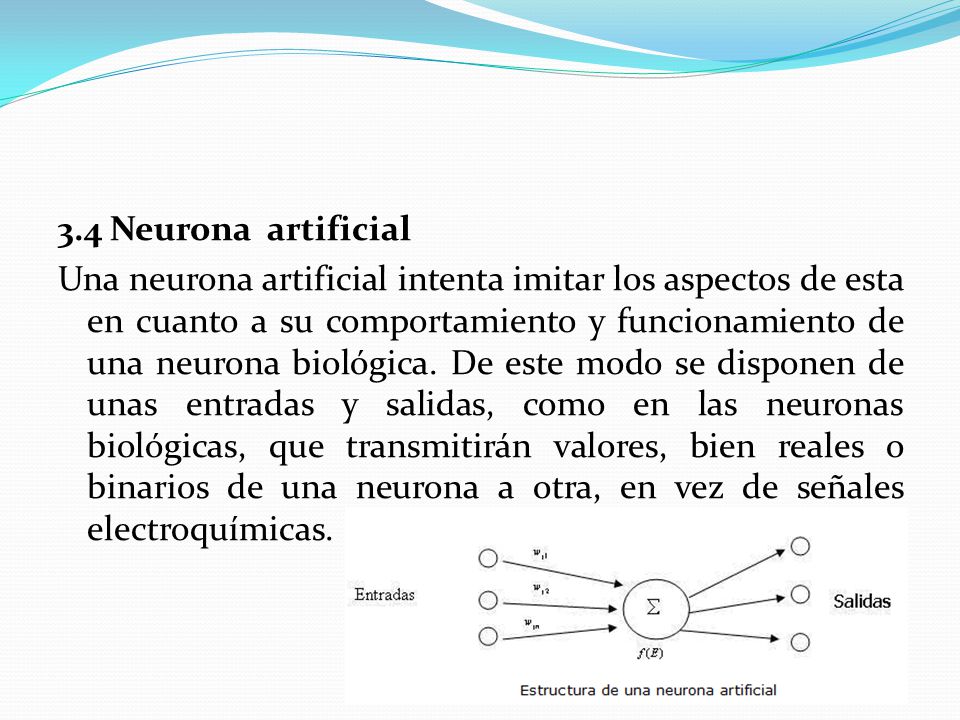 3.4 Neurona artificial Una neurona artificial intenta imitar los aspectos de esta en cuanto a su comportamiento y funcionamiento de una neurona biológica.
