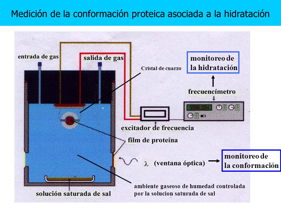 Medición de la conformación proteica asociada a la hidratación