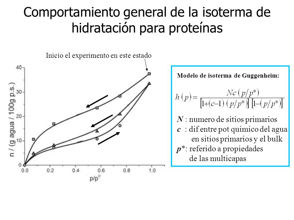 Comportamiento general de la isoterma de hidratación para proteínas