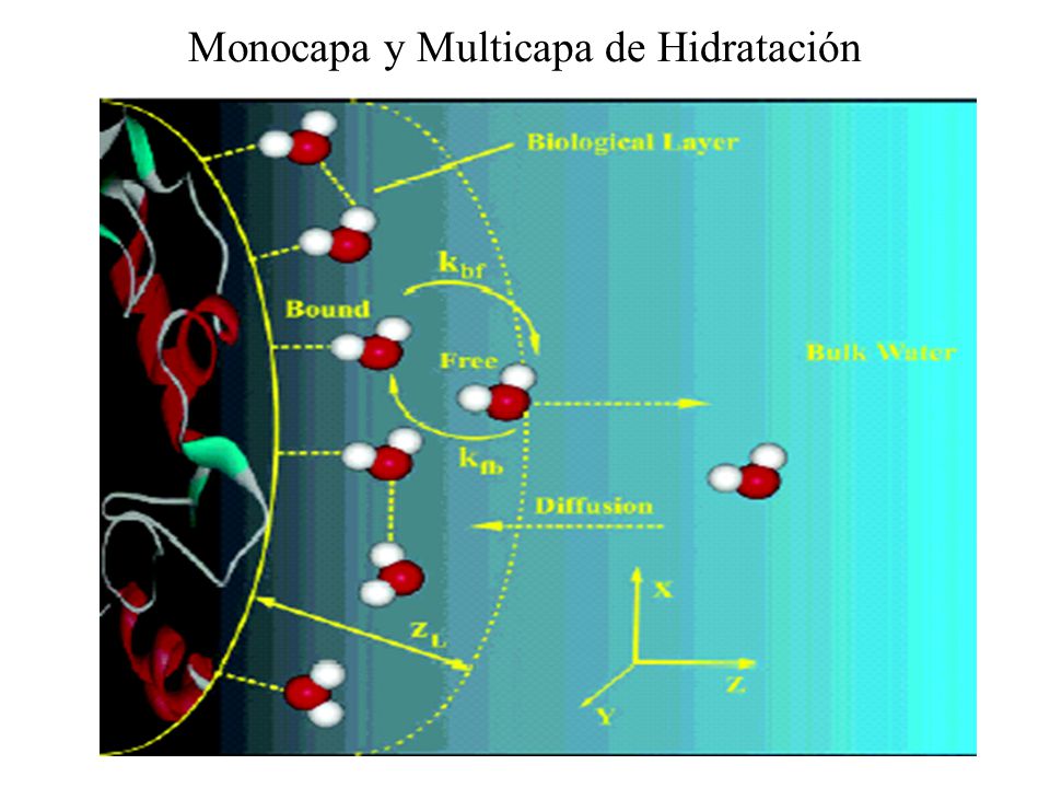 Monocapa y Multicapa de Hidratación
