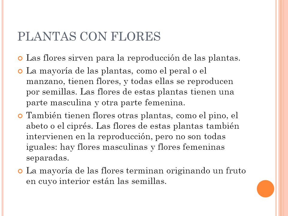 PLANTAS CON FLORES Las flores sirven para la reproducción de las plantas.