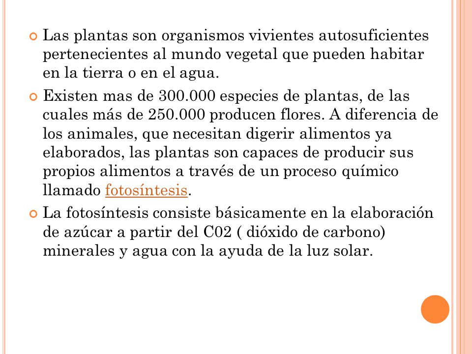 Las plantas son organismos vivientes autosuficientes pertenecientes al mundo vegetal que pueden habitar en la tierra o en el agua.
