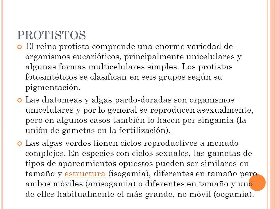PROTISTOS