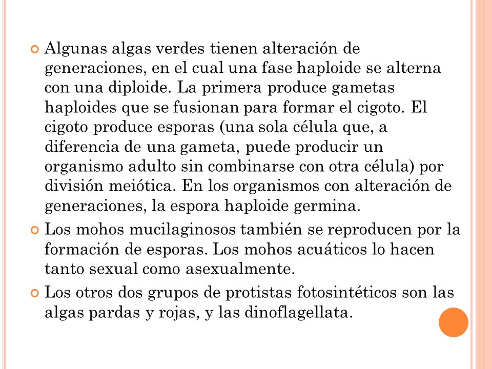 Algunas algas verdes tienen alteración de generaciones, en el cual una fase haploide se alterna con una diploide. La primera produce gametas haploides que se fusionan para formar el cigoto. El cigoto produce esporas (una sola célula que, a diferencia de una gameta, puede producir un organismo adulto sin combinarse con otra célula) por división meiótica. En los organismos con alteración de generaciones, la espora haploide germina.