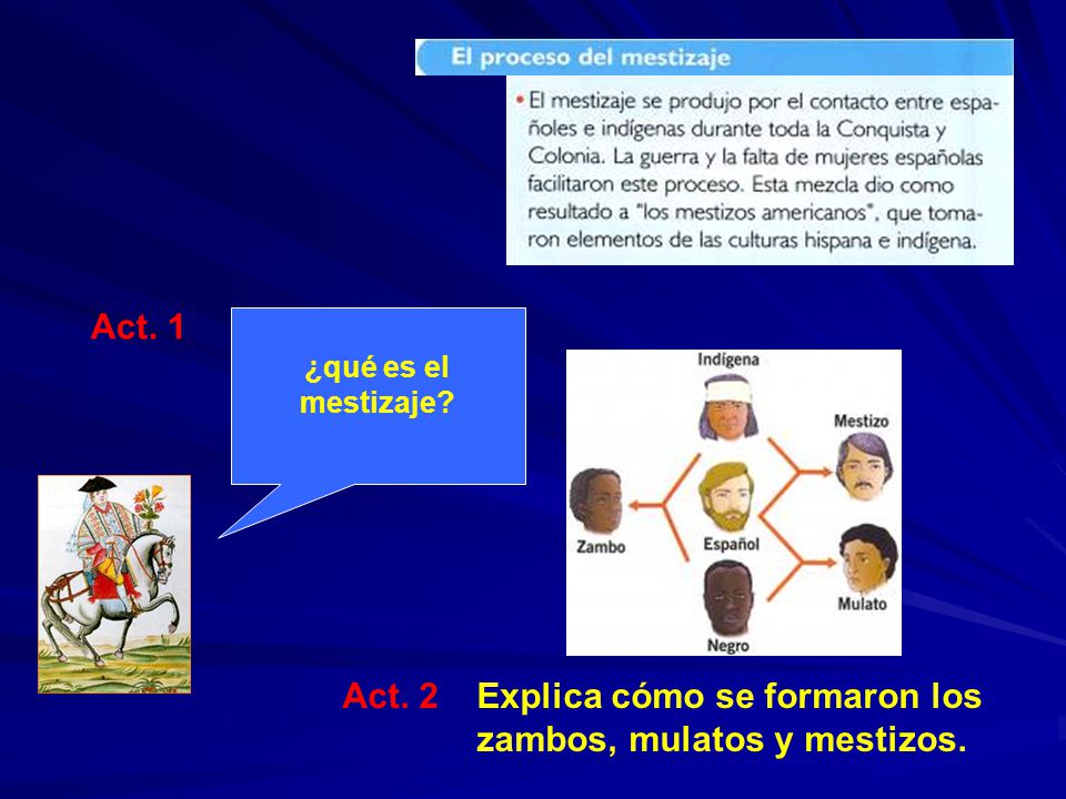 Explica cómo se formaron los zambos, mulatos y mestizos.