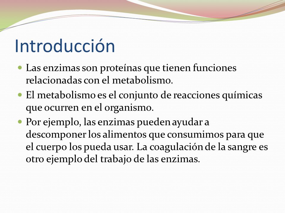 Introducción Las enzimas son proteínas que tienen funciones relacionadas con el metabolismo.