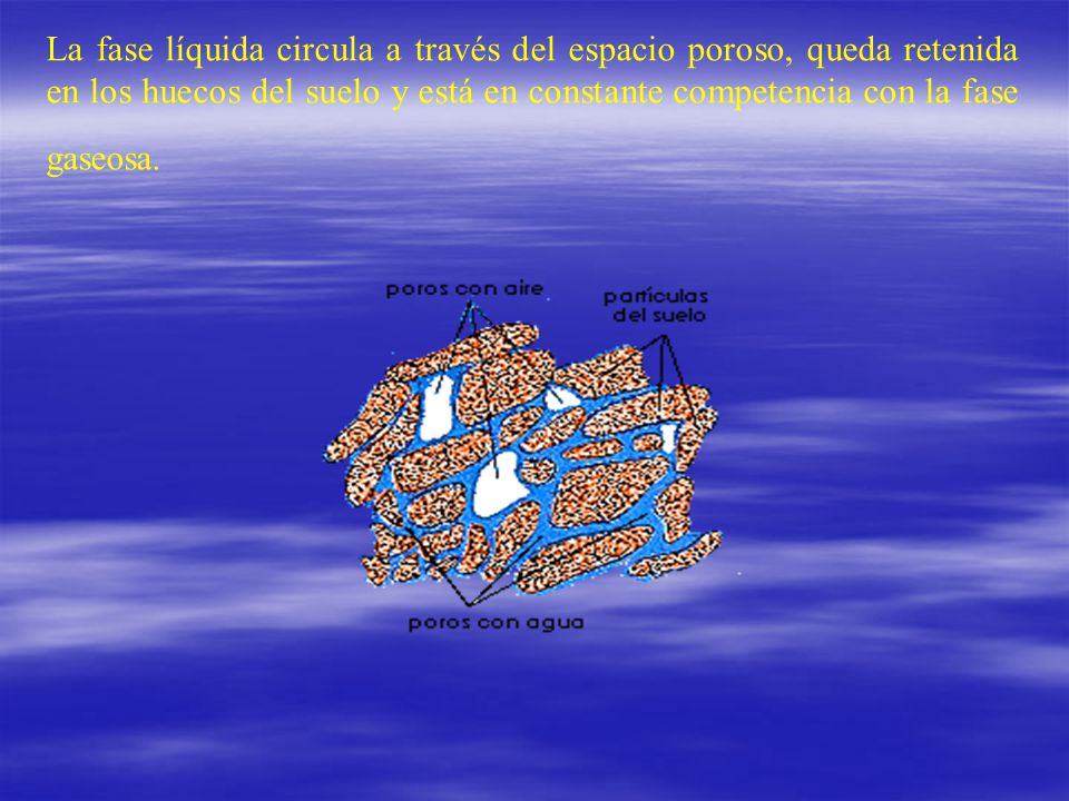 La fase líquida circula a través del espacio poroso, queda retenida en los huecos del suelo y está en constante competencia con la fase gaseosa.