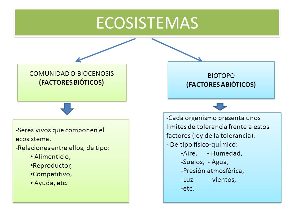 COMUNIDAD O BIOCENOSIS