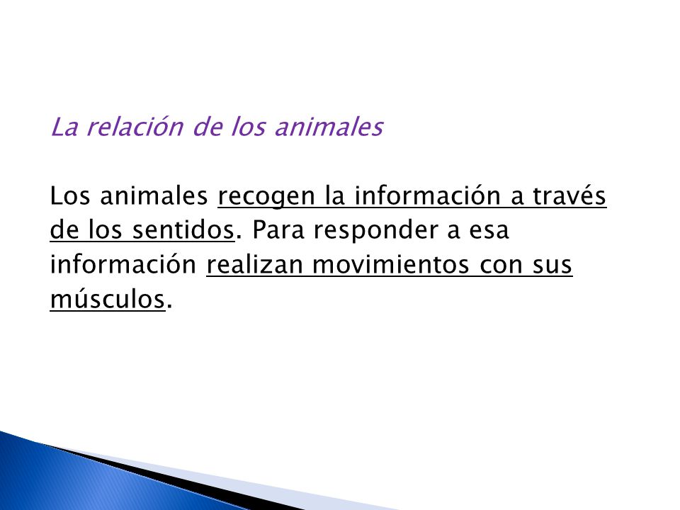 La relación de los animales Los animales recogen la información a través de los sentidos.