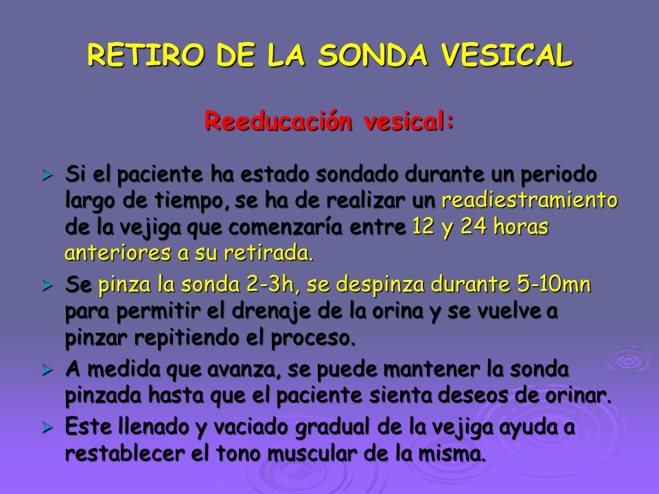 SONDAJE VESICAL Consiste en la introducción de una sonda en la vejiga  urinaria a través de la uretra. Aunque es un procedimiento muy utilizado,  pueden. - ppt descargar