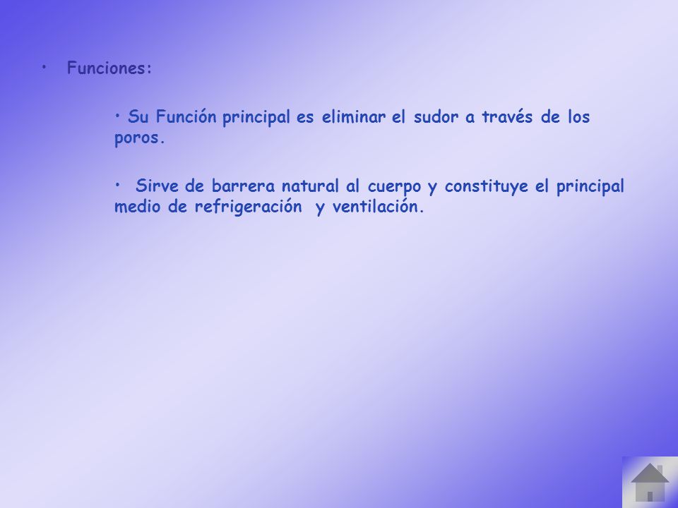Funciones: Su Función principal es eliminar el sudor a través de los poros.