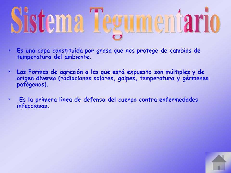 Sistema Tegumentario Es una capa constituida por grasa que nos protege de cambios de temperatura del ambiente.