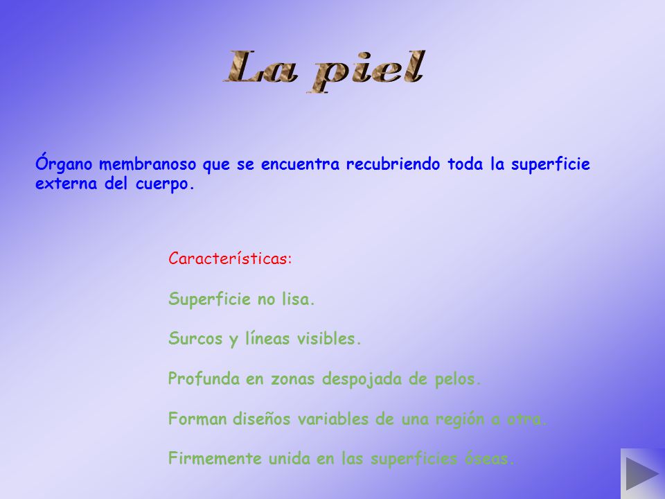 La piel Órgano membranoso que se encuentra recubriendo toda la superficie externa del cuerpo. Características: