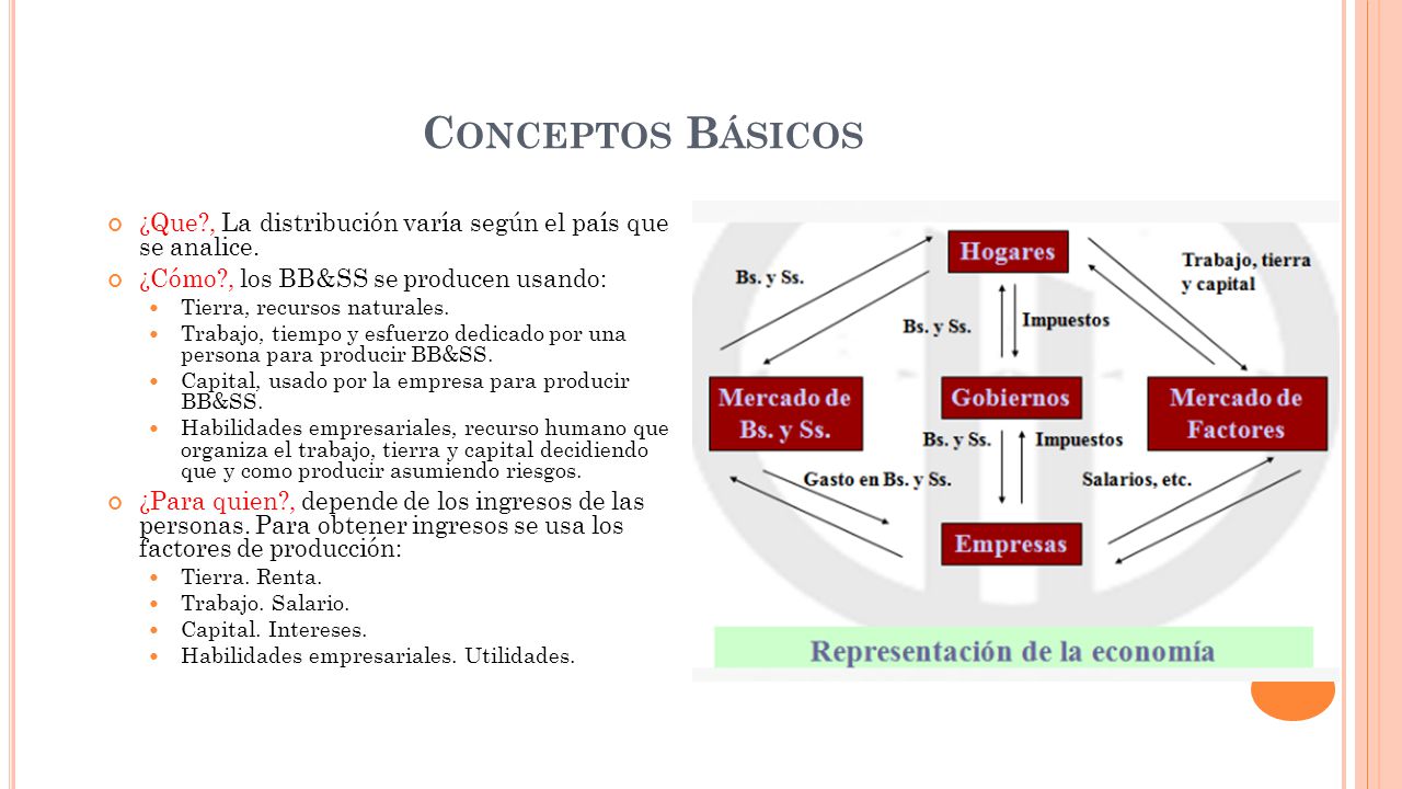 Conceptos Básicos ¿Que , La distribución varía según el país que se analice. ¿Cómo , los BB&SS se producen usando: