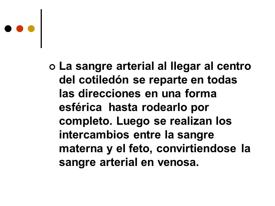 La sangre arterial al llegar al centro del cotiledón se reparte en todas las direcciones en una forma esférica hasta rodearlo por completo.