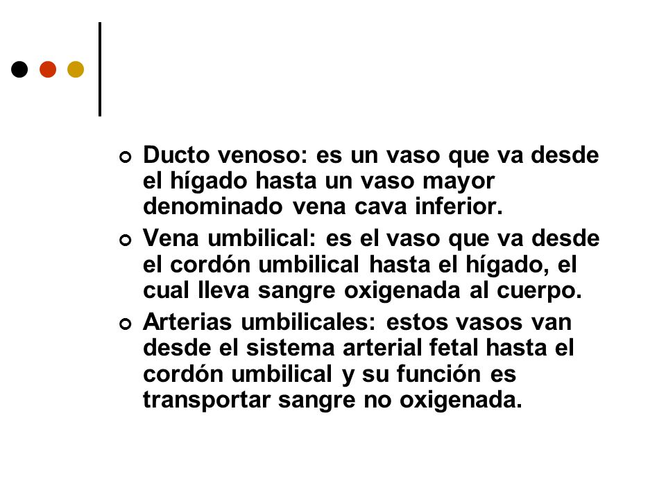 Ducto venoso: es un vaso que va desde el hígado hasta un vaso mayor denominado vena cava inferior.