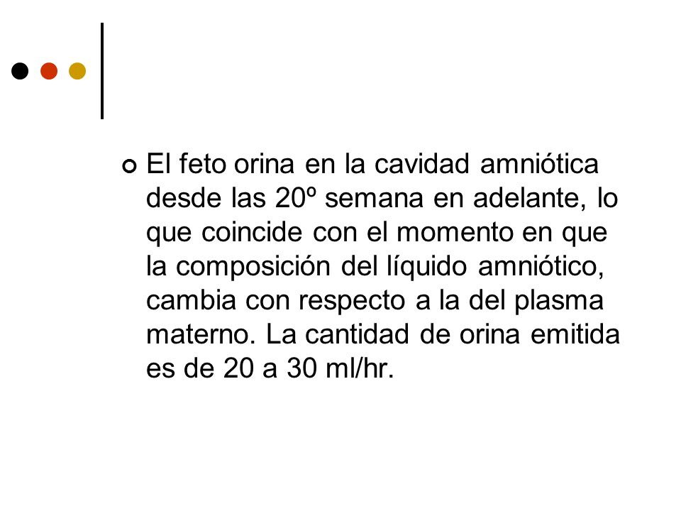 El feto orina en la cavidad amniótica desde las 20º semana en adelante, lo que coincide con el momento en que la composición del líquido amniótico, cambia con respecto a la del plasma materno.