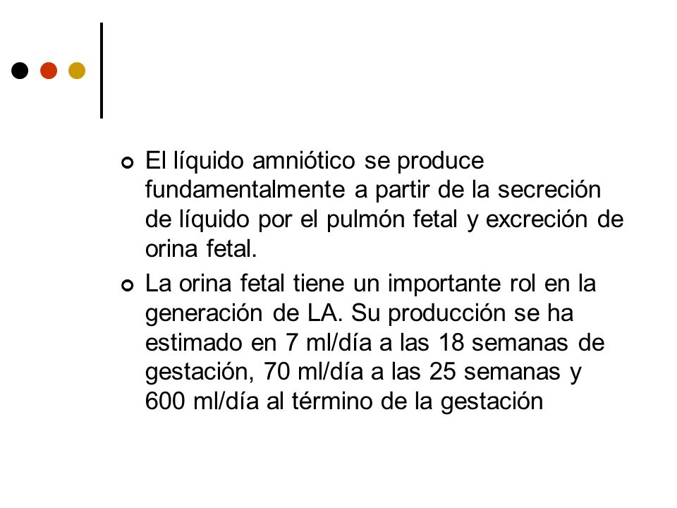 El líquido amniótico se produce fundamentalmente a partir de la secreción de líquido por el pulmón fetal y excreción de orina fetal.