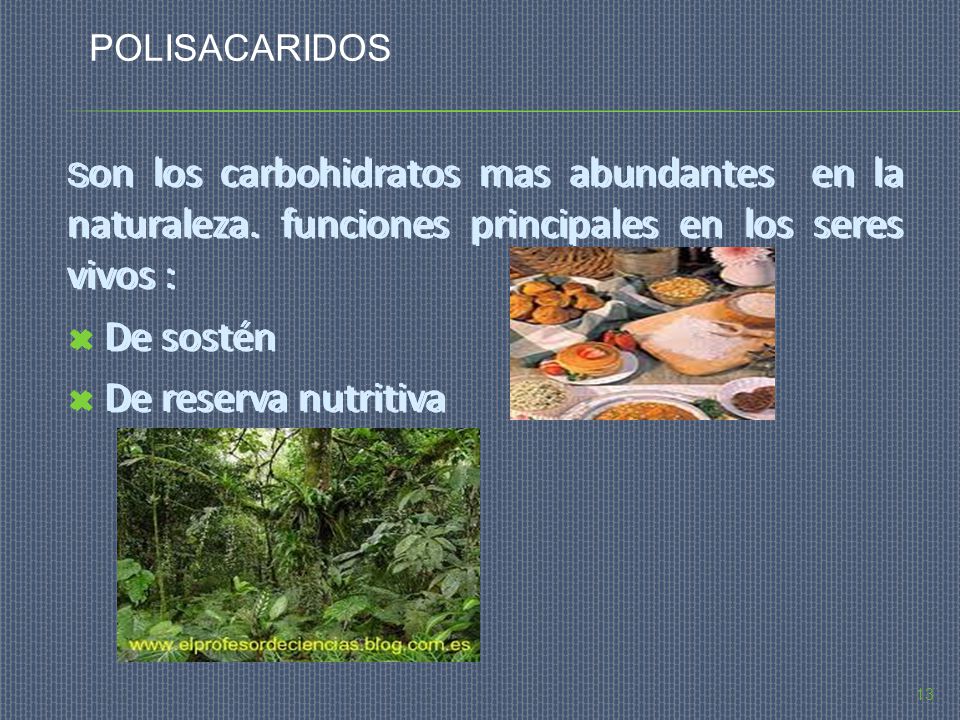 De sostén De reserva nutritiva De sostén De reserva nutritiva