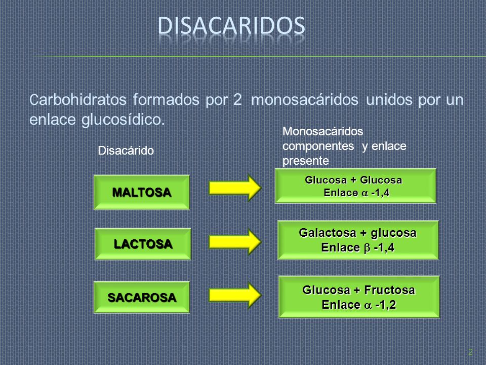 disacaridos Carbohidratos formados por 2 monosacáridos unidos por un enlace glucosídico. Monosacáridos componentes y enlace presente.